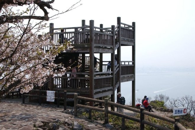 鷲ヶ峰展望台と桜