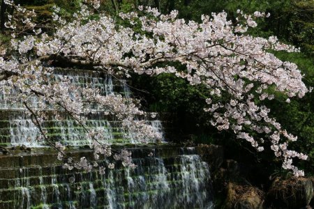 四国村ミウゼアム（四国民家博物館）