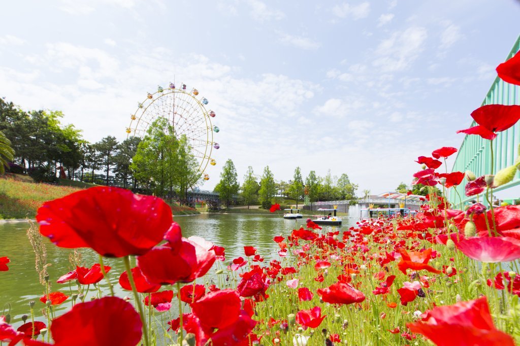 レオマ花ワールド イベント 香川県観光協会公式サイト うどん県旅ネット