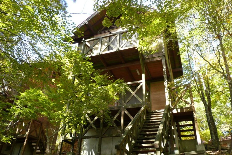 大川山キャンプ場