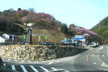 道の駅「空の夢もみの木パーク」
