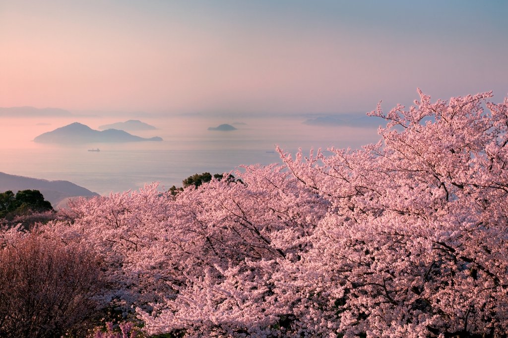 紫雲出山