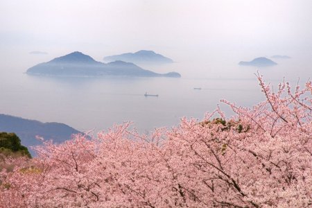 紫雲出山（しうでやま）