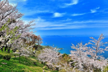 紫雲出山（しうでやま）