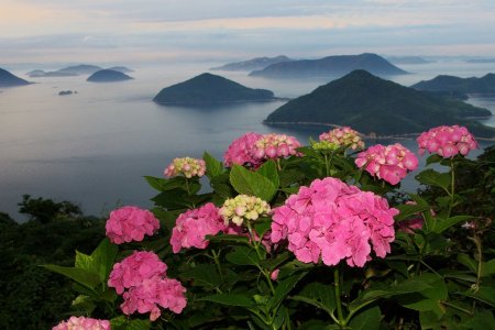 紫雲出山（しうでやま）