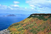 【紅葉スポット】屋島