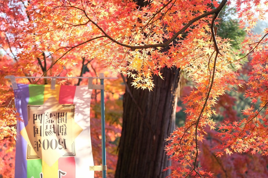 【紅葉スポット】白峯寺