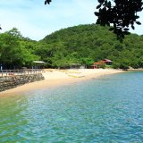 蔦島