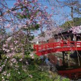 名勝　琴弾公園