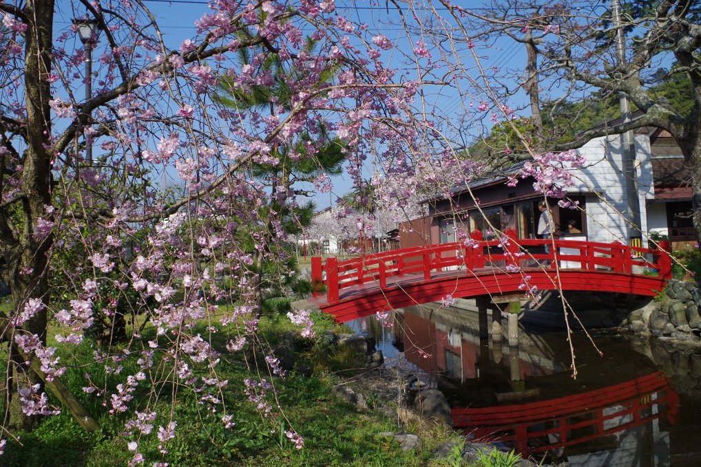 琴弾（ことひき）公園