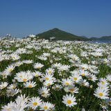 フラワーパーク浦島
