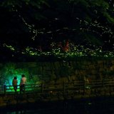 ほたる見公園