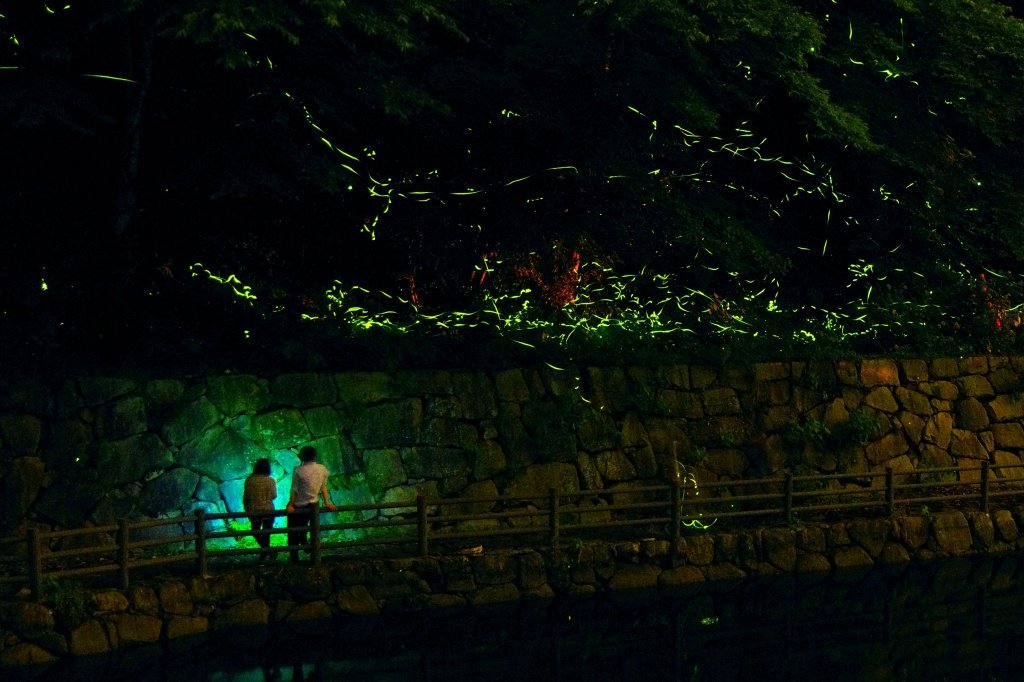 ほたる見公園 スポット 体験 香川県観光協会公式サイト うどん県旅ネット