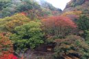 秋色の美霞洞