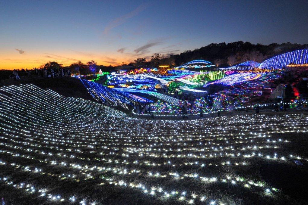 国営讃岐まんのう公園 イルミネーションイベント『ウィンターファンタジー』