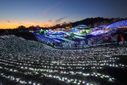 国営讃岐まんのう公園 イルミネーションイベント『ウィンターファンタジー』