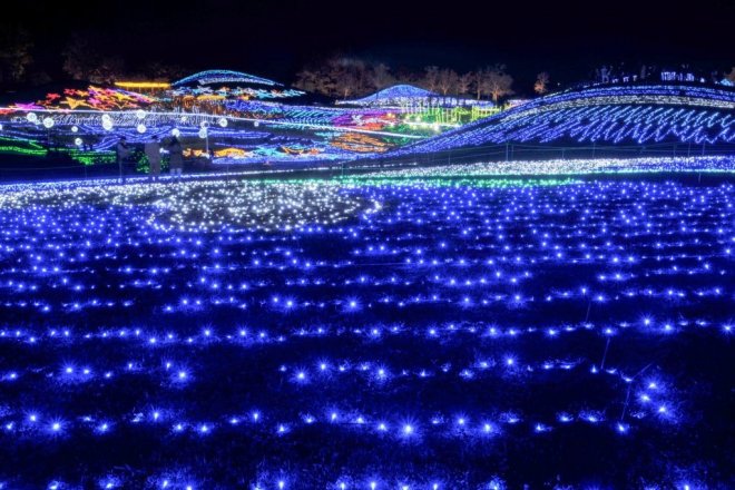 グランドイルミネーション※画像は過去の実施状況