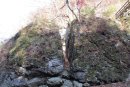 恋愛パワースポット「夫婦岩」