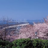常盤公園