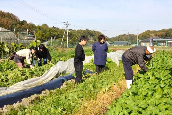 【農業・漁業・畜産体験 】横峰農園