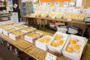 飯田農園