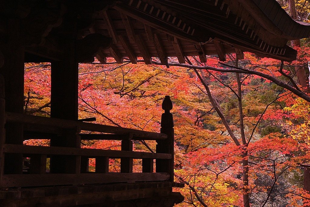 大窪寺