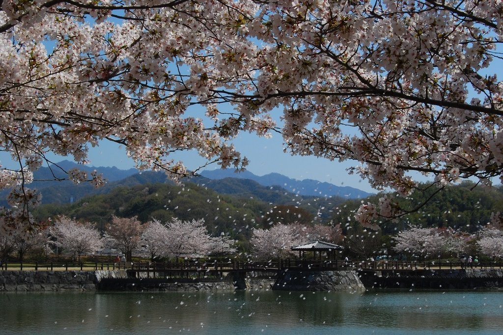 県立亀鶴公園