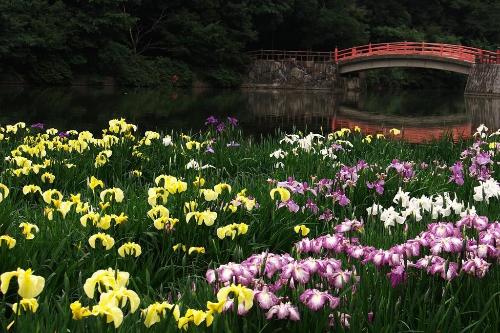 県立亀鶴公園 スポット 体験 香川県観光協会公式サイト うどん県旅ネット
