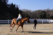 【アウトドア体験】ライディングクラブritmo　乗馬体験