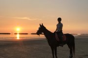 【アウトドア体験】有明浜ホースパーク　乗馬体験