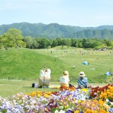 国営讃岐まんのう公園