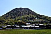 初夏の飯野山に登ろう