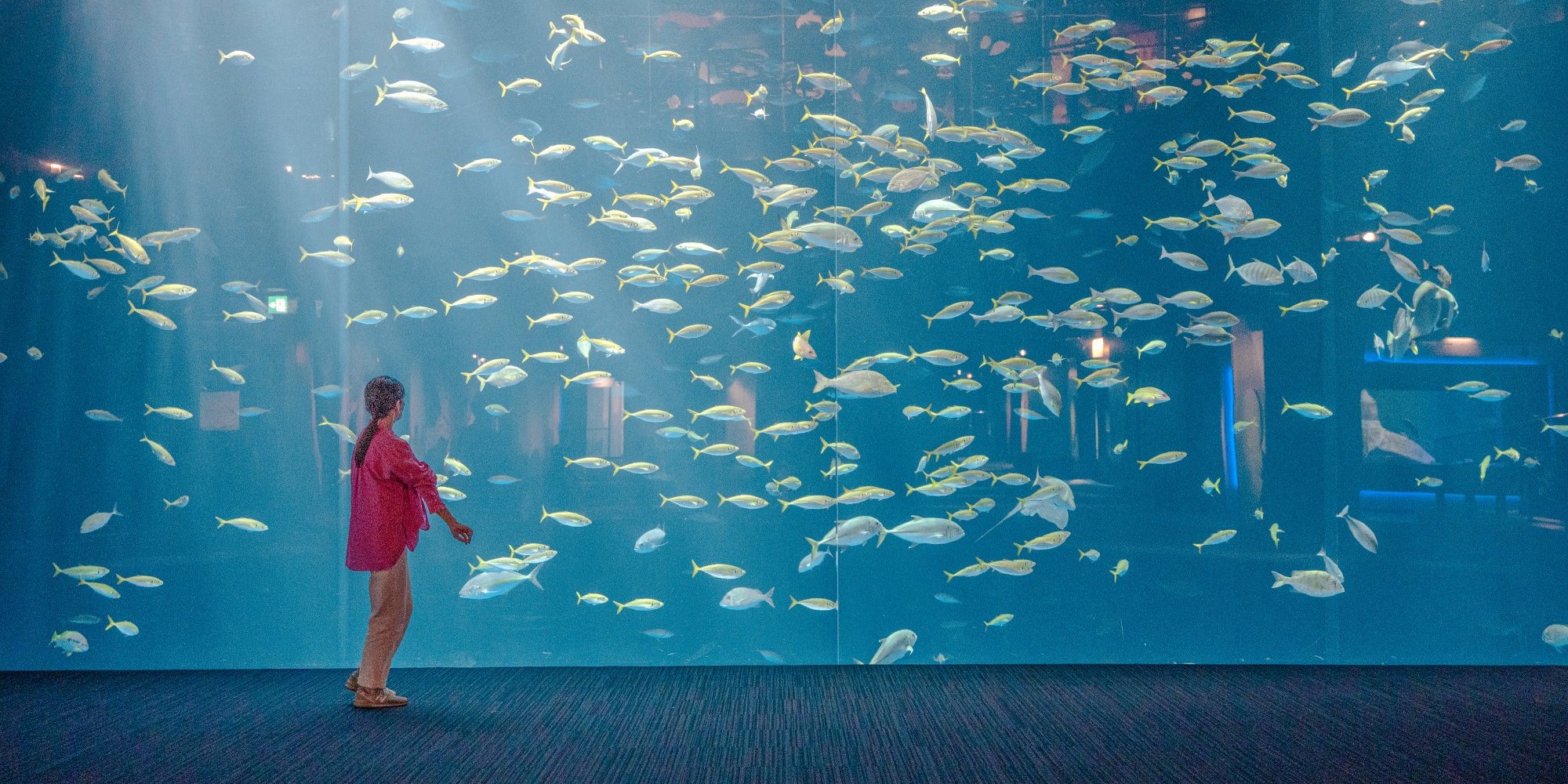 四国水族館