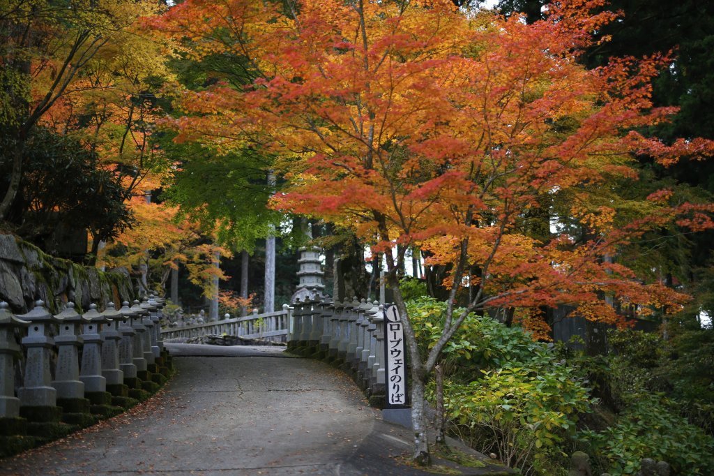 雲辺寺山頂公園