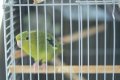まちのシューレ963