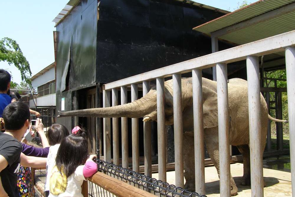 しろとり動物園