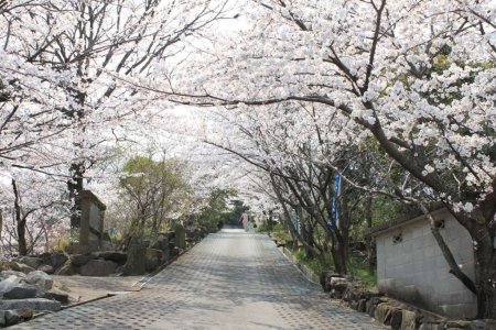 海岸寺奥之院