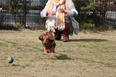 農マル園芸 吉備路農園