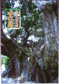 自然の宝石箱 小豆島