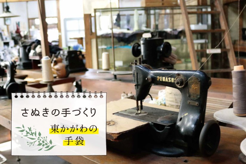 東かがわの手袋