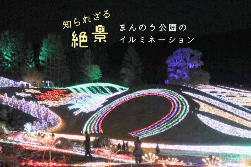 まんのう公園のイルミネーション