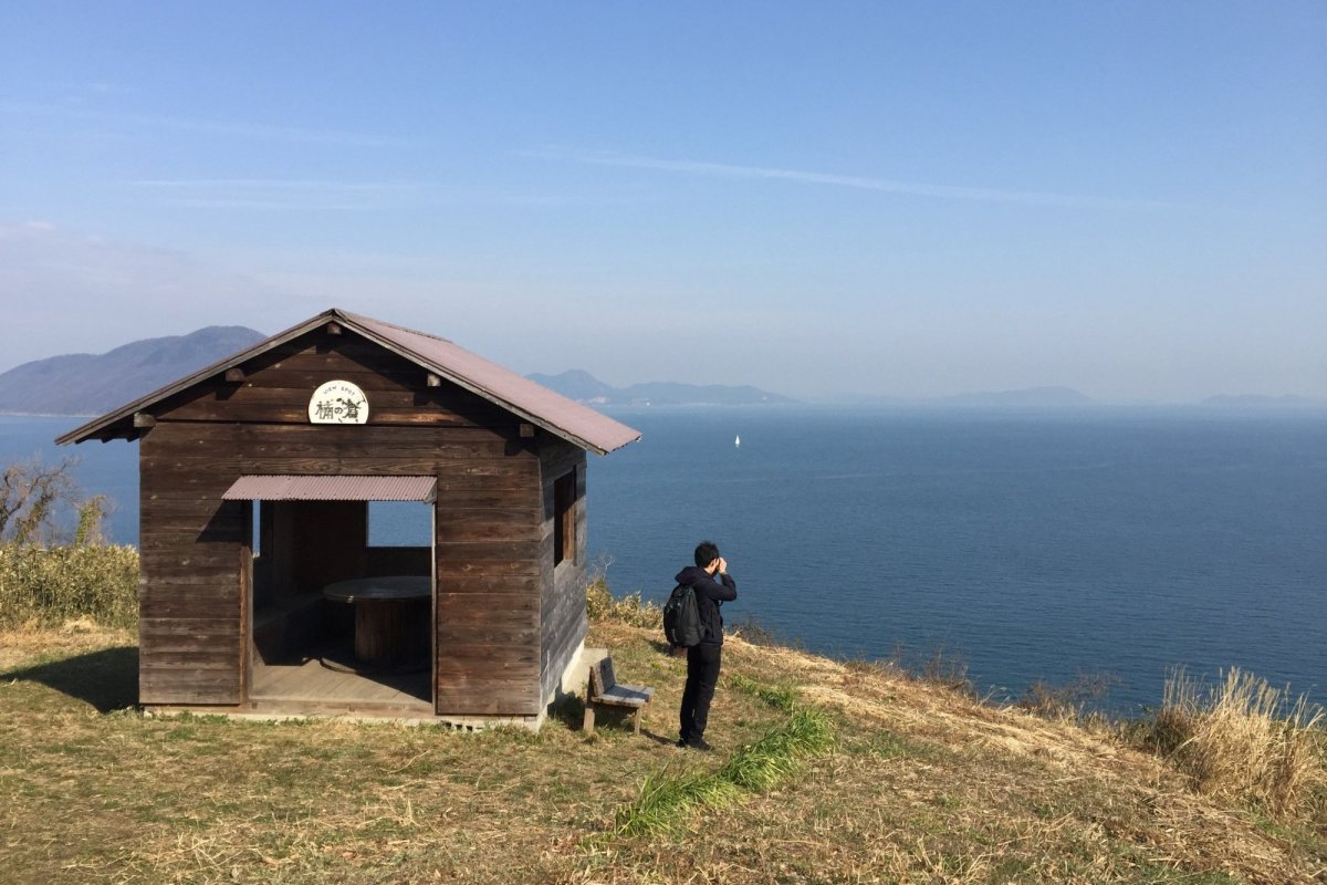 樹齢1200年の大楠・志々島～観音寺