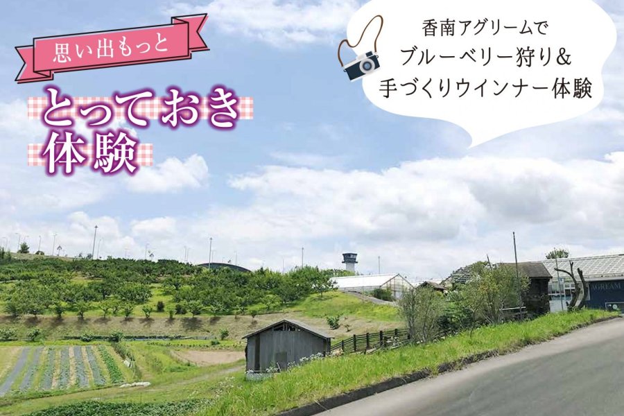 香南アグリームでブルーベリー狩り＆ウインナーづくり