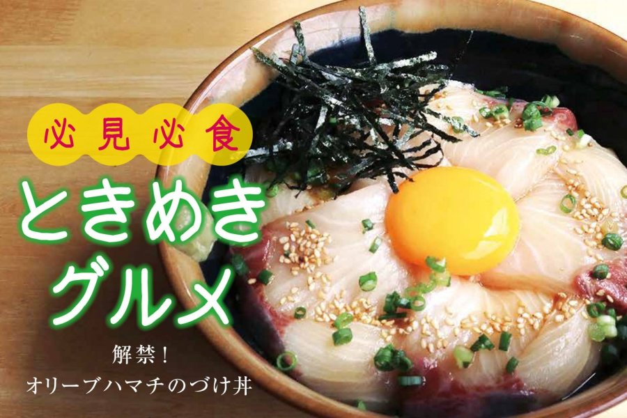 解禁！オリーブハマチのづけ丼