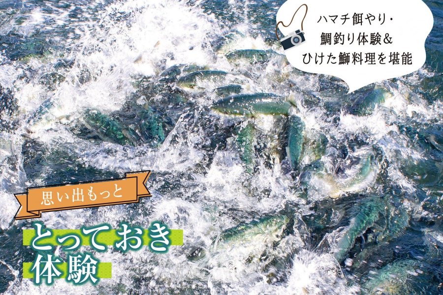 ハマチ餌やり・鯛釣り体験＆ひけた鰤料理を堪能