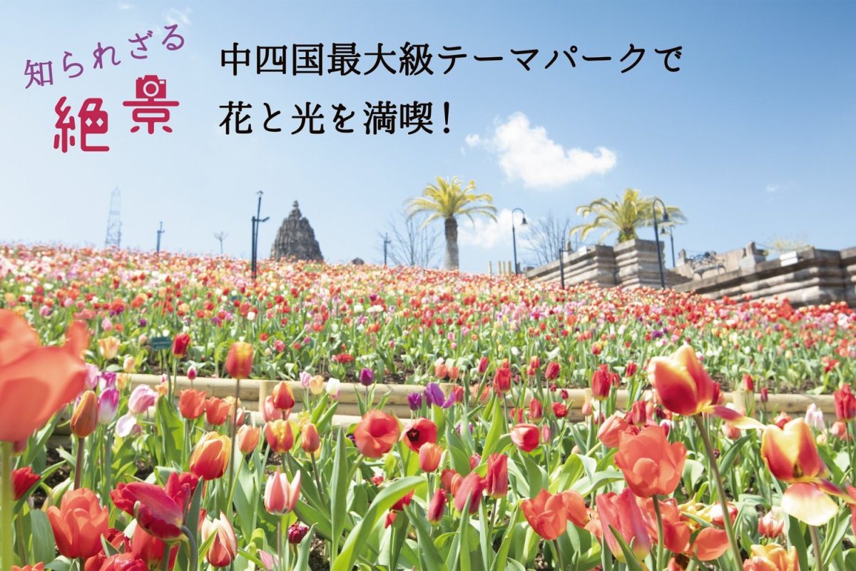 中四国最大級テーマパークで花と光を満喫！