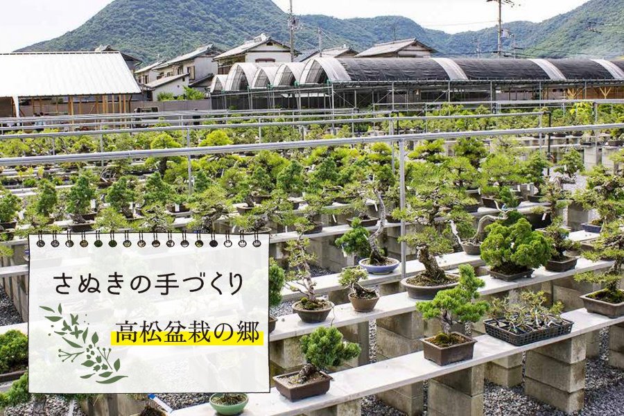 さぬきの手づくり　高松盆栽の郷