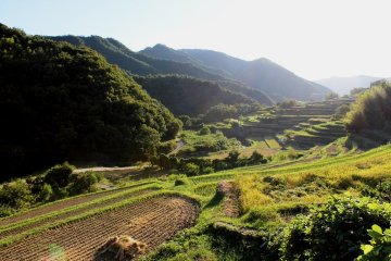 棚田の風景を楽しむ際のお願い