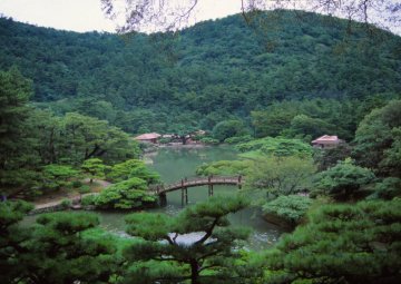 背後の紫雲山に注目！