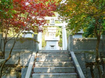 盆栽神社